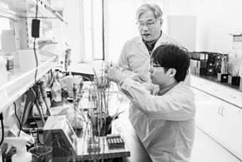 黑龍江發(fā)布成果轉(zhuǎn)化改革攻堅方案