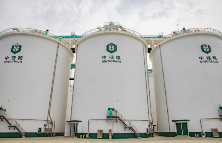 中儲糧夏收工作有序推進 守住農(nóng)民“種糧賣得出”底線