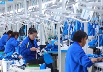 19條穩(wěn)就業(yè)硬核舉措出爐，專家解讀