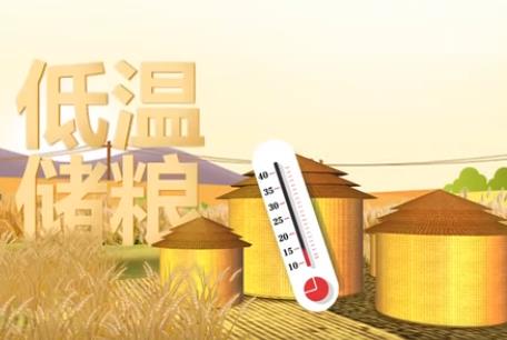 保質(zhì)保鮮 科學(xué)儲糧守好“大國糧倉”