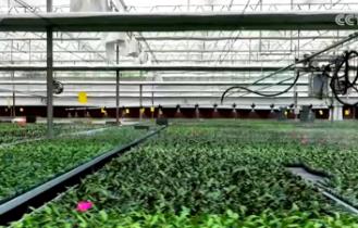 多點發(fā)力降低高溫對農(nóng)業(yè)生產(chǎn)影響 “新”潮澎湃為穩(wěn)產(chǎn)優(yōu)產(chǎn)保駕護航