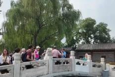 政策紅利深度釋放激活文旅市場潛力 “China Travel”持續(xù)升溫解鎖多樣中國