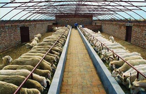 農(nóng)業(yè)農(nóng)村部法規(guī)司、畜牧獸醫(yī)局負責人就《畜禽養(yǎng)殖場備案管理辦法》答記者問