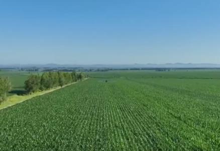 “菜籃子”產(chǎn)品供給有保障價(jià)格平穩(wěn) 可滿足城鄉(xiāng)居民消費(fèi)需求