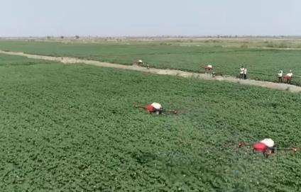 “指尖輕觸”智慧耕作 “科技衛(wèi)士”成得力助手 棉田管理更“聰明”夯實(shí)豐產(chǎn)基礎(chǔ)