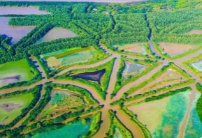 廣東濕地總面積約190萬公頃 保護(hù)宣傳周活動(dòng)啟動(dòng)