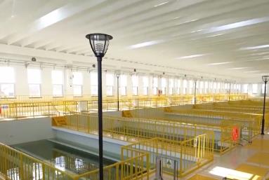 供水保障更“聰明” “科技+服務”一“鍵”滿足盛夏生產(chǎn)生活用水激增需求