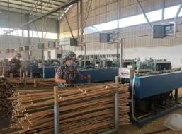 “以竹代塑”產(chǎn)業(yè)潛力大