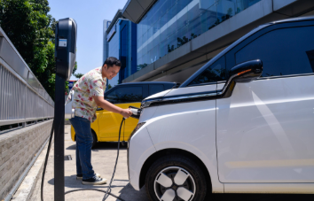 中國(guó)品牌占據(jù)印尼上半年純電動(dòng)車市場(chǎng)超九成份額