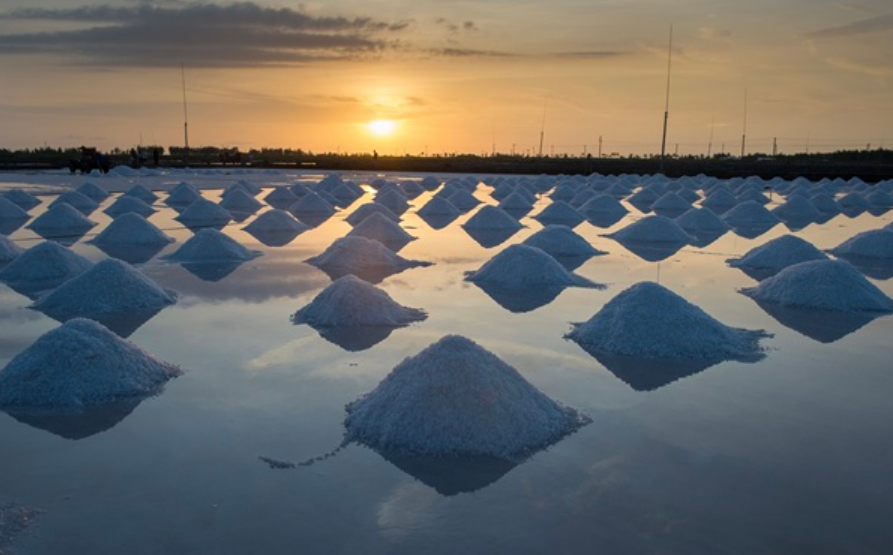 廣東鹽業(yè)集團上半年實現“雙過半”