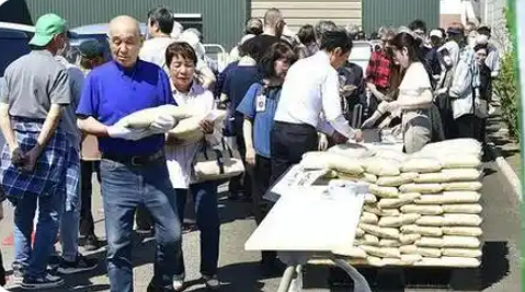 日本多地嚴重缺水 水稻產(chǎn)區(qū)面臨“新米危機”