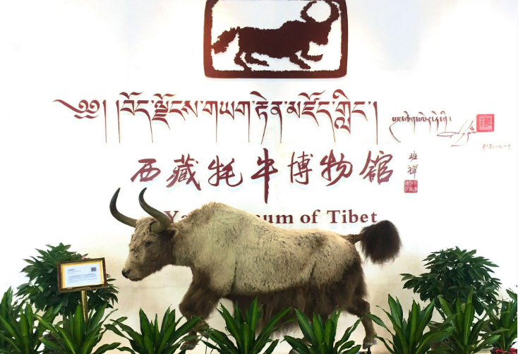 一座博物館解碼西藏文明的“超級基因”