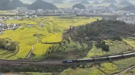 “高鐵+旅游”深度融合：特色專列助力暑期鄉(xiāng)村游市場(chǎng)升溫