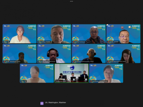 廣東恒興在聯(lián)合國糧農(nóng)組織（FAO）會議上代表中國輸出金鯧魚產(chǎn)業(yè)“中國范本”！