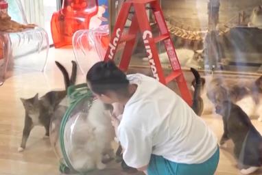 突破8114億元！科技重塑“它經(jīng)濟(jì)” “毛孩子”情感消費撬動經(jīng)濟(jì)新支點