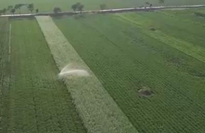 科技賦能抗旱保豐收 多地積極應(yīng)對高溫天氣農(nóng)業(yè)生產(chǎn)