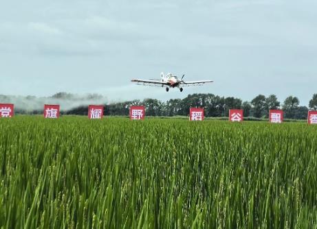 黑龍江：萬(wàn)企興萬(wàn)村 走出村企共興路