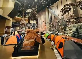 夜宿博物館一票難求 火爆的背后面臨哪些挑戰(zhàn)？