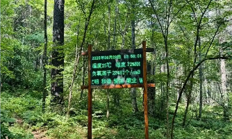 伊春森工集團(tuán)：新質(zhì)生產(chǎn)力讓老林區(qū)發(fā)出“新根芽”