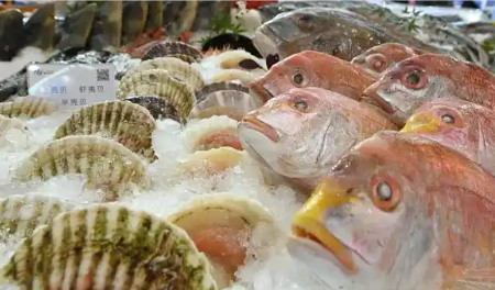 中國(guó)海水產(chǎn)品產(chǎn)量連續(xù)多年全球第一——看看咱超700億斤的“海產(chǎn)庫(kù)”