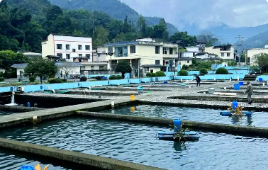 四川三地協(xié)作聯(lián)動(dòng)助推設(shè)施漁業(yè)與大水面生態(tài)漁業(yè)發(fā)展