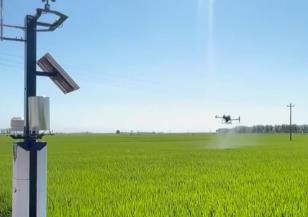 主產(chǎn)區(qū)科學推進田管 秋糧生產(chǎn)總體順利