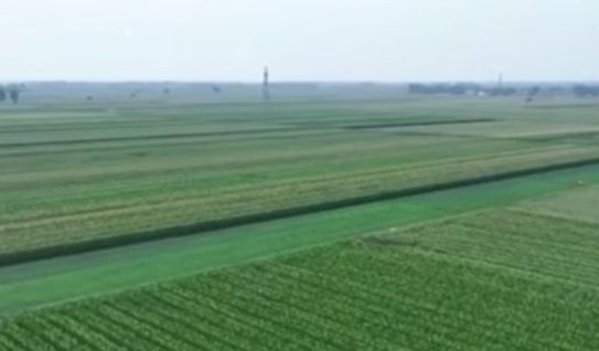 各地加強田管 夯實秋糧穩(wěn)產(chǎn)基礎