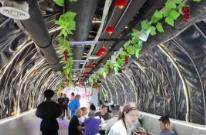 “清涼經(jīng)濟(jì)”乘“熱”而上 熱產(chǎn)品、暖服務(wù)將“涼資源”變成“熱錢流”