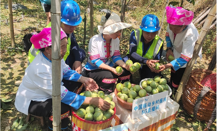 從瑤寨到邊境，中國移動十年電信普遍服務助城鄉(xiāng)蝶變