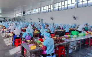 全國首個罐頭技貿(mào)評議基地落戶福建漳州