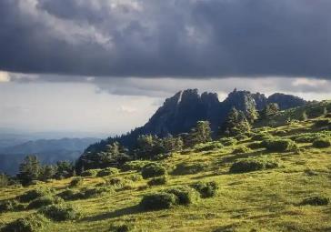 中國暑期旅游新趨勢：“主題奔赴”帶動消費(fèi)熱潮