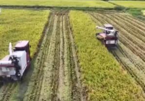 巡檢機器人、無人化工廠……解鎖農(nóng)業(yè)“智”管新范式 科技賦能好“豐”景