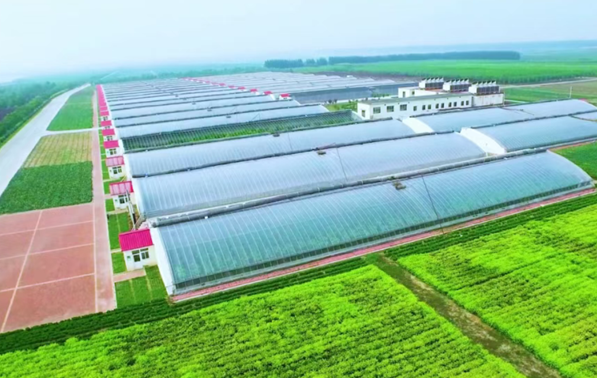 山東省屬國資國企錨定綠色發(fā)展核心導向 繪就生態(tài)新答卷