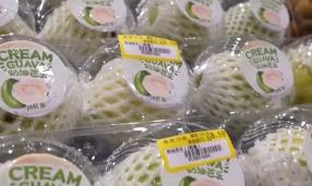 “甜蜜產(chǎn)業(yè)”出?！瓣J世界”圈粉無數(shù) 透過大數(shù)據(jù)解鎖消費新趨勢