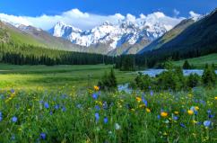 天山南北風(fēng)光好 暑期旅游市場熱