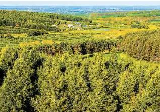 黑龍江牡丹江：營商沃土培育“產業(yè)森林”