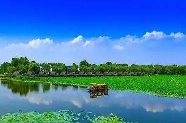 從“漁舟唱晚”到“水陸空”全景體驗(yàn)山東微山縣：“中國荷都”讓生態(tài)資源“火”起來