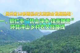 粵黔協(xié)作發(fā)布18條鄉(xiāng)村農(nóng)文旅特色路線