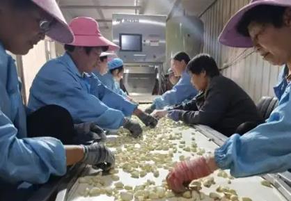 山西曲沃：綠色金融“智”造力激活產(chǎn)業(yè)新引擎