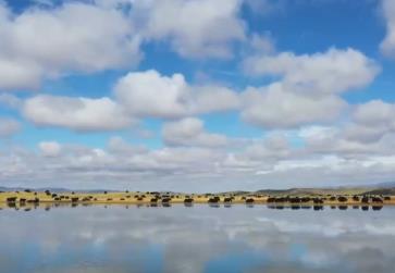 中秋國慶“雙節(jié)同慶”熱潮涌動 國內(nèi)游出境游雙雙攀升