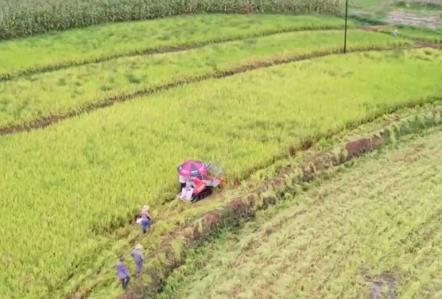 “科技+”為農(nóng)業(yè)現(xiàn)代化插上騰飛的翅膀 良種良機良法繪就金秋好“豐”景