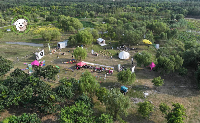 秋日旋律，人寵同歡 2025天津「熊孩兒·音樂森友會」盛大啟幕