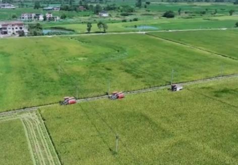 “真金白銀”支持“工具箱”幫扶 強(qiáng)農(nóng)惠農(nóng)富農(nóng)讓億萬(wàn)農(nóng)民得實(shí)惠