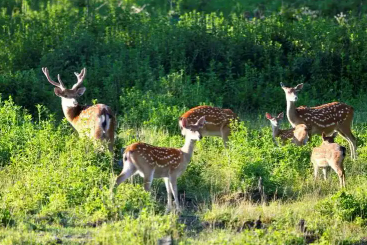總數(shù)亞洲第一！我國已有34個自然保護地成為世界生物圈保護區(qū)