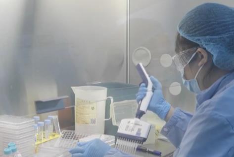 從數(shù)據(jù)透視中國創(chuàng)新藥加速“跑”向世界 中國藥企展現(xiàn)國際前沿創(chuàng)新能力