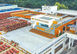 四川如何玩轉(zhuǎn)“工業(yè)＋文旅”？