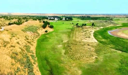 5年防沙治沙超6500萬(wàn)畝 荒漠變綠洲內(nèi)蒙古付出了哪些努力