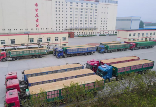 農(nóng)發(fā)行夏津縣支行：精準(zhǔn)服務(wù)政協(xié)委員企業(yè)，信貸資金助力夏糧收購