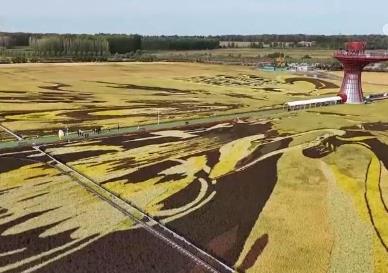 淄博→爾濱→天水 “網(wǎng)紅城市”“火爆出圈”后如何“四季長紅”？