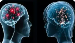 叩開大腦奧秘之門 “高清腦圖譜”實現(xiàn)新跨越